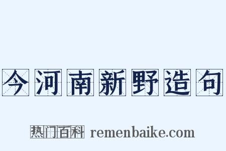 今河南新野造句是什么意思的图片